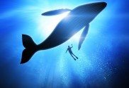 online marketing and blue ocean strategy